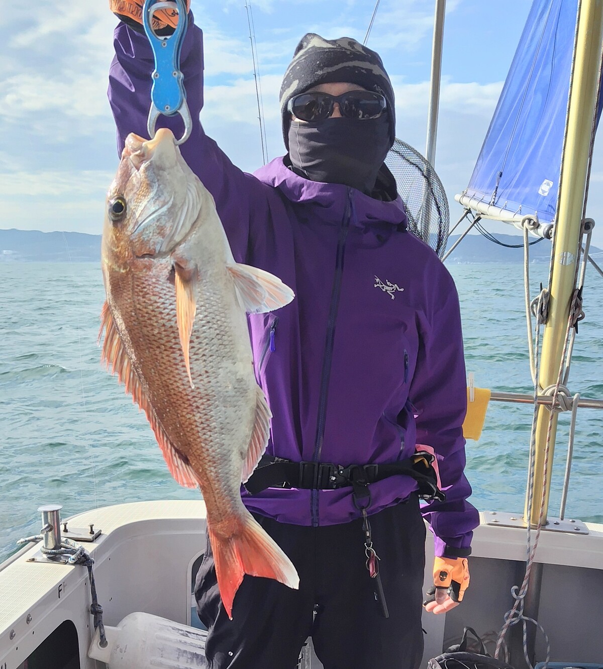 �捇�������O��(�^�C���o)