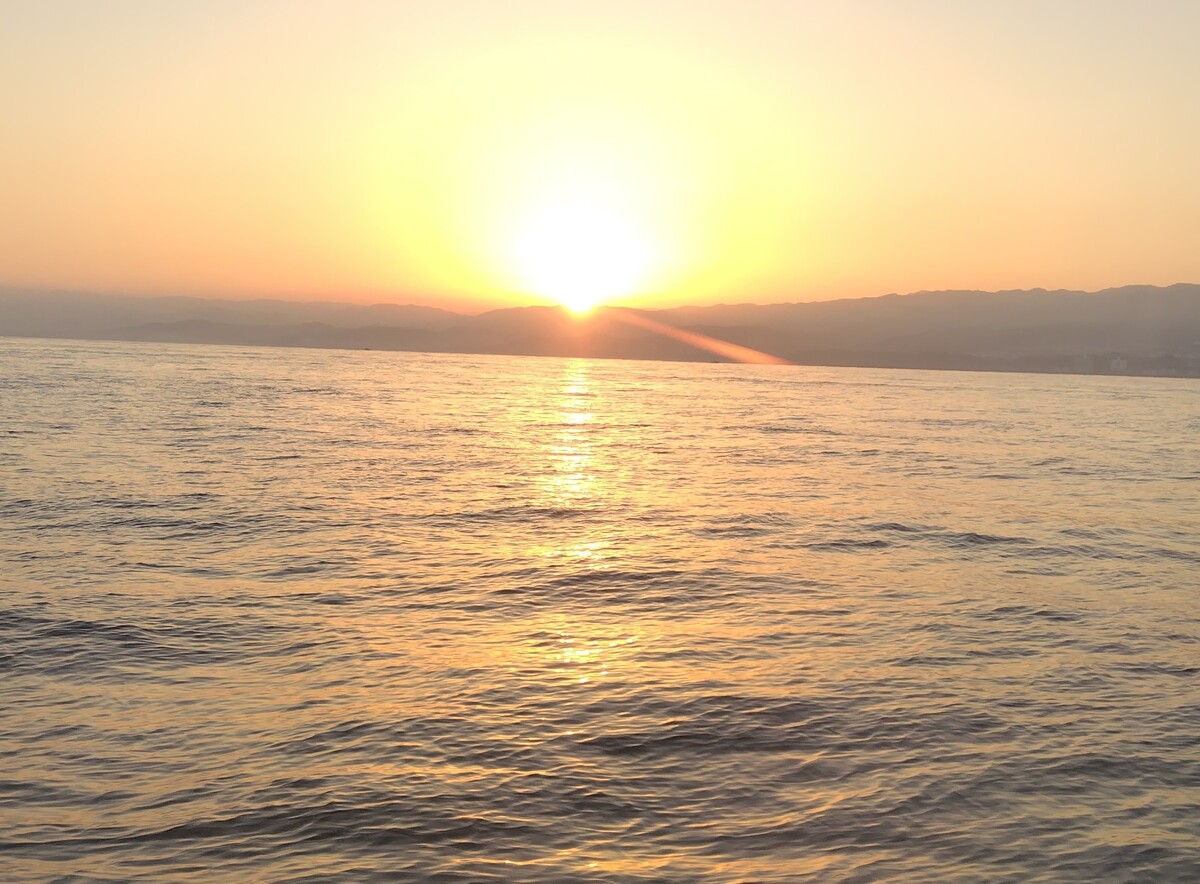 �^�`�E�I�ʏ��