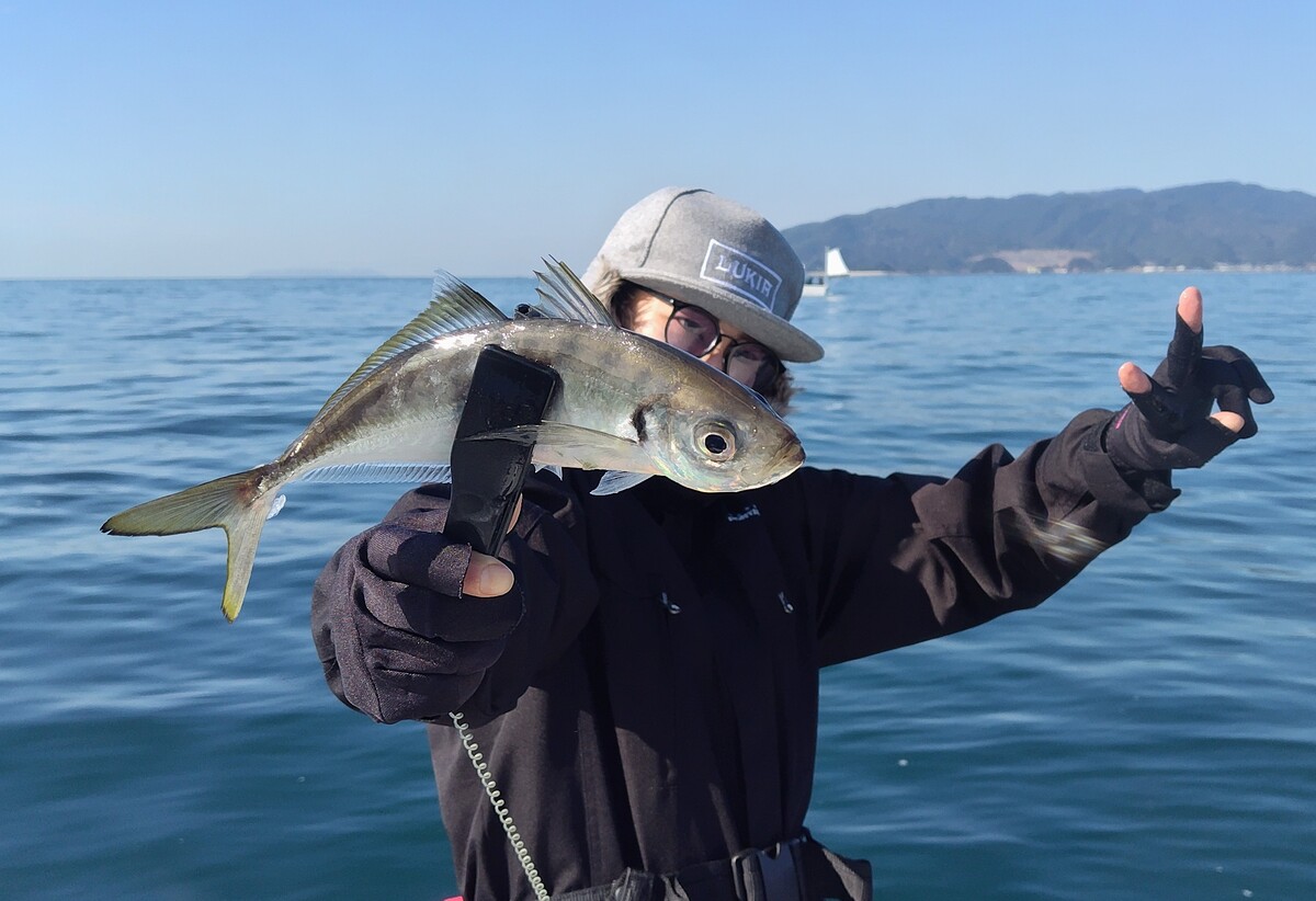 �捇���ʏ��(�ܖڒނ�)