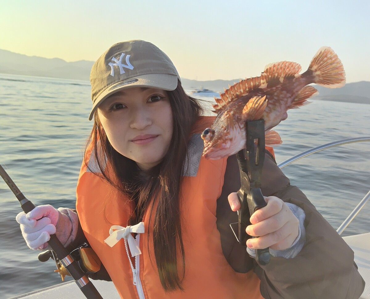 �捇���ʏ��(�^�C���o)